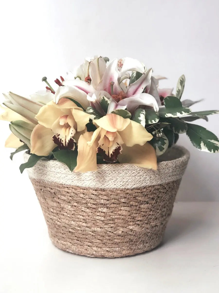 Savar Plant Bowl (Set of 3) | Seagrass & Jute KORISSA